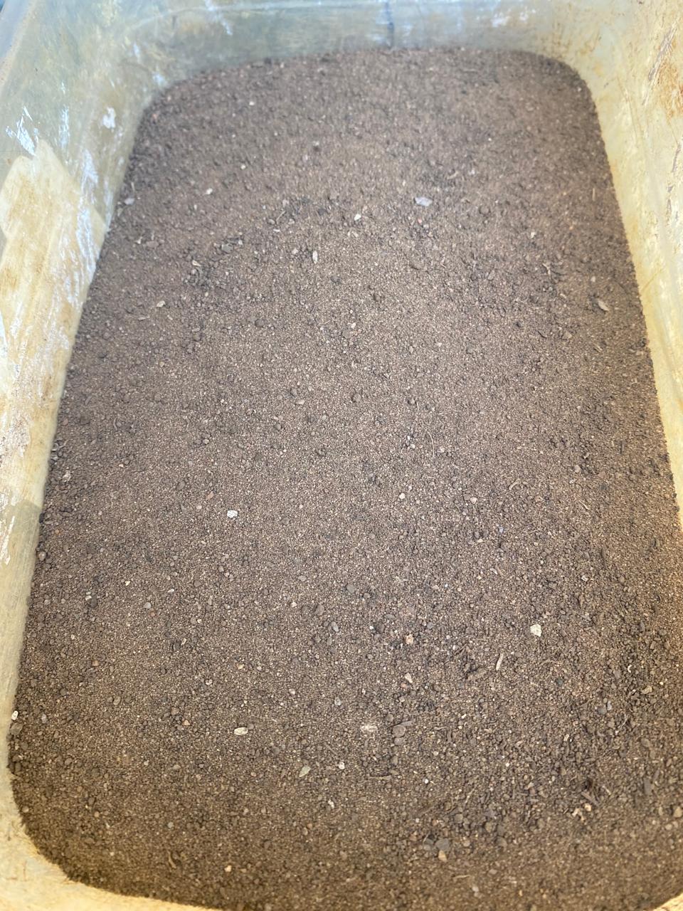 Treated soil after Metal Medic application